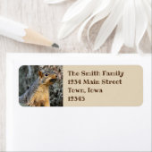 シカダスナッカー ラベル (インサイチュ)