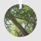 シカモアツリーグリーン自然 オーナメント (裏面)