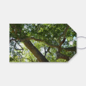 シカモアツリーグリーン自然 ギフトタグ (正面(横))