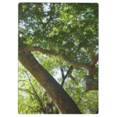 シカモアツリーグリーン自然 クリップボード (裏面)