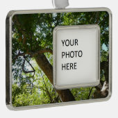 シカモアツリーグリーン自然 シルバープレートフレームオーナメント (右)