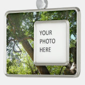シカモアツリーグリーン自然 シルバープレートフレームオーナメント (左)
