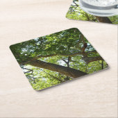 シカモアツリーグリーン自然 スクエアペーパーコースター (アングル)