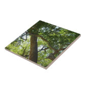 シカモアツリーグリーン自然 タイル (側面)