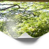 シカモアツリーグリーン自然 フォトプリント (角)