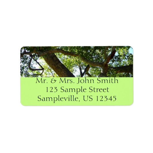 シカモアツリーグリーン自然 ラベル (正面)