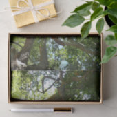 シカモアツリーグリーン自然 薄葉紙 (ギフト)