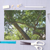 シカモアツリーグリーン自然 薄葉紙 (クラフト)