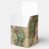 シカモアツリーバークモスリケーン フェイバーボックス (オープン)