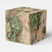 シカモアツリーバークモスリケーン フェイバーボックス (裏面サイド)