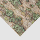 シカモア樹皮苔地衣 薄葉紙 (詳細)