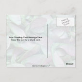 シカモア種子 ポストカード (裏面)