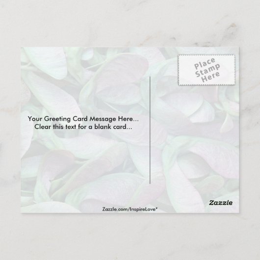 シカモア種子 ポストカード (裏面)