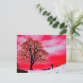 シカモールツリー葉書 ポストカード (スタンド正面)