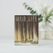 シカ及び流れ ポストカード (スタンド正面)