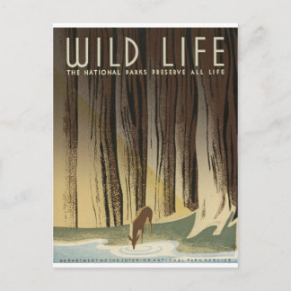 シカ及び流れ ポストカード