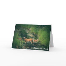 シカ家族のポートレート