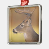 シカ科 オジロジカ Odocoileus virginianus メタルオーナメント (左)
