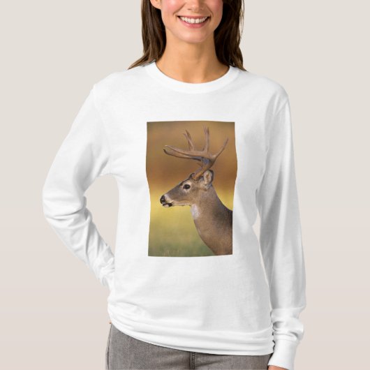シカ科 オジロジカ Odocoileus virginianus Tシャツ (正面)