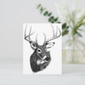 シカ頭 ポストカード (スタンド正面)