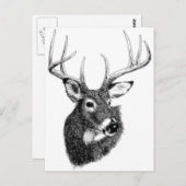 シカ頭 ポストカード (正面/裏面)