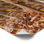 シカ・イン・ウッズ ポスター (コーナー)