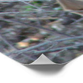 シカ・イン・ウッズ ポスター (角)