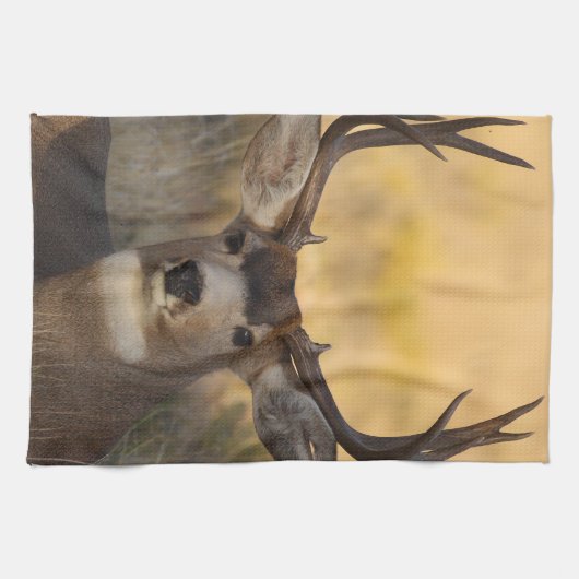 シカ キッチンタオル (横)