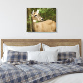 シカ キャンバスプリント (インサイチュ (寝室))