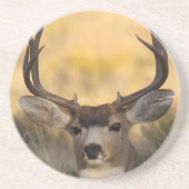 シカ コースター (正面)