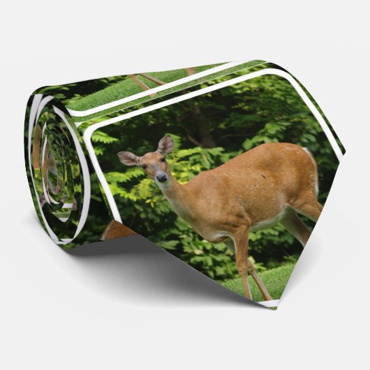 シカ ネクタイ (ロール)