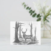 シカ ポストカード (スタンド正面)