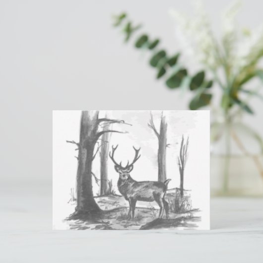 シカ ポストカード (スタンド正面)