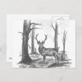 シカ ポストカード (正面/裏面)
