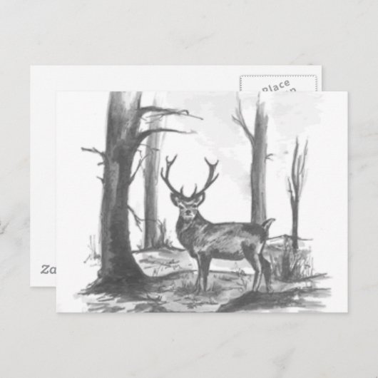 シカ ポストカード (正面/裏面)