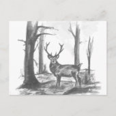 シカ ポストカード (正面)