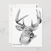 シカ ポストカード (正面/裏面)