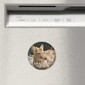 シカ マグネット (インサイチュ (食洗機))