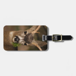 シカ ラゲッジタグ