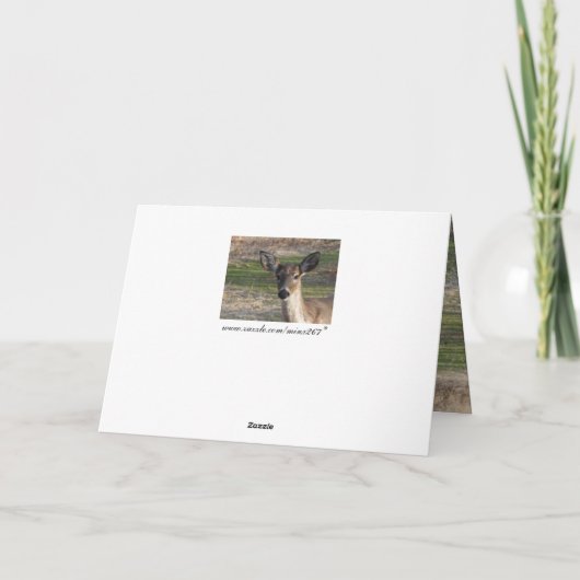 シカ *空白* カード (裏面)