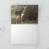 シカ *空白* カード (内部)