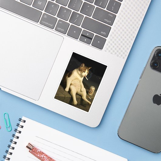 シガレットキティ 楽しい喫煙猫 Gen Z メメ シール (ノートパソコンとiPhone)