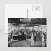 シガーの製造業部 ポストカード (正面/裏面)