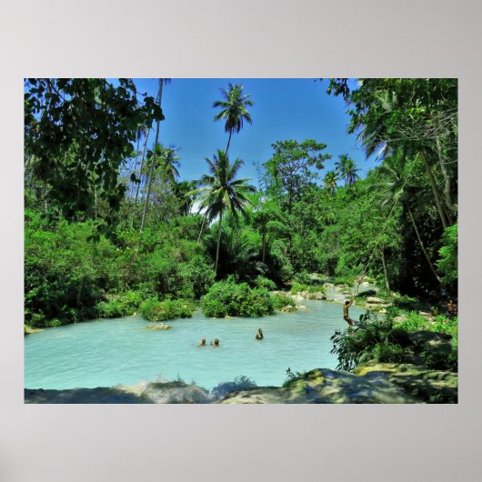 シキホールジャングル ポスター (正面)