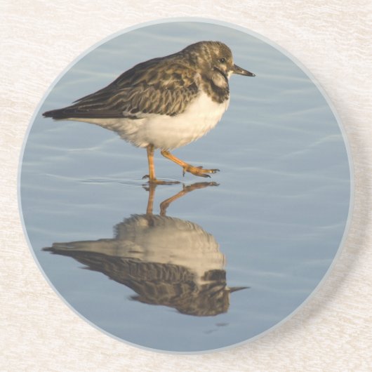 シギの鳥のコースター コースター (正面)