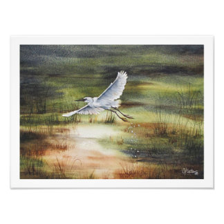 シギダチョウの水彩画 フォトプリント