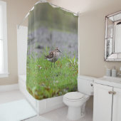 シギ シャワーカーテン (インサイチュ)