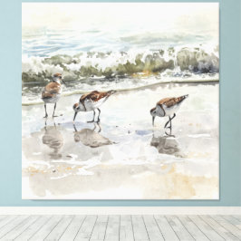 シギ チドリのビーチ アート 水彩画 キャンバスプリント