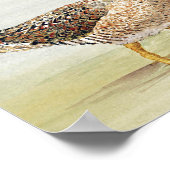 シギ ポスター (角)