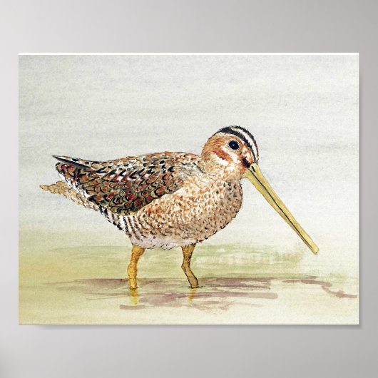 シギ ポスター (正面)